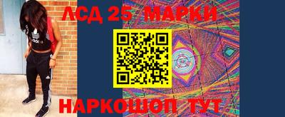 прущие грибы Камышлов