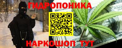 ПСИЛОЦИБИНОВЫЕ ГРИБЫ Канаш
