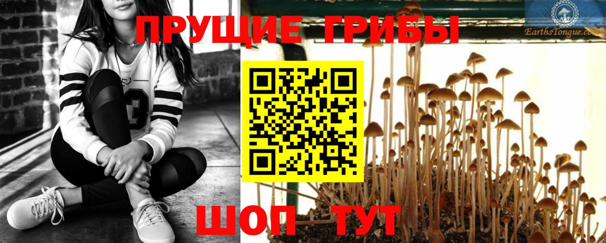 Псилоцибиновые грибы Magic Shrooms  Галлюциногенные грибы мухоморы  Лесной  Вход с VPN 